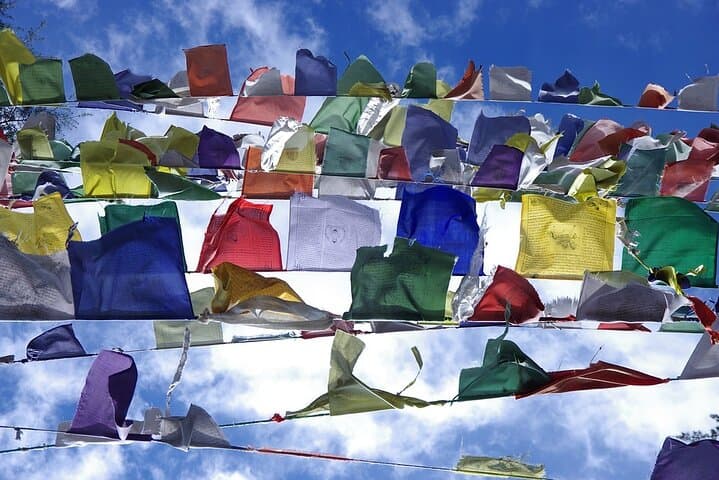 Day Tour of Dharamshala: McLeod Ganj, Dal Lake & Norbulingka Institute photo 5