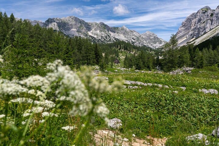 Debela Peč Panoramic Hike — Julian Alps Views Over Lake Bled photo 3