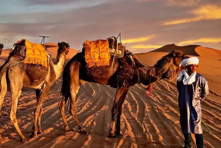 Overnight Luxury Camp on Merzouga's Erg Chebbi Dunes