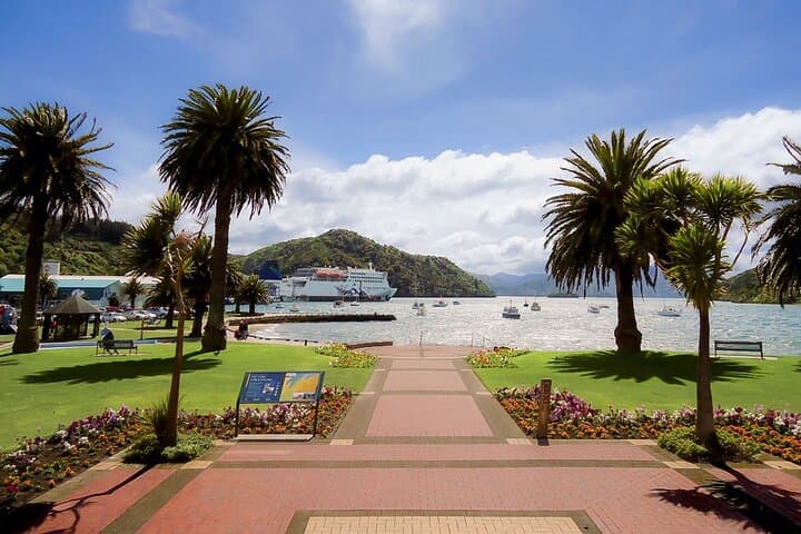 Self-Guided Picton Foreshore Audio Tour — Edwin Fox, Whaling History & Māori Sites photo 5