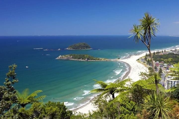Explore Mount Maunganui: Self-Guided Audio Walking Tour of Mauao and Beaches photo 3