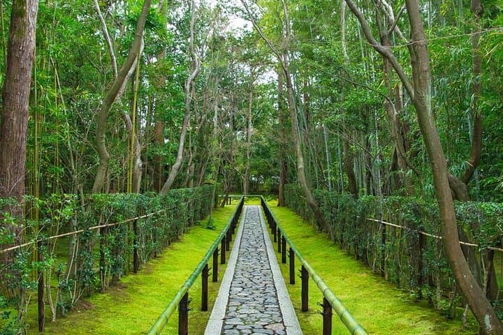 Private One-Day Nikko Cultural Tour: Shinkyo Bridge, Toshogu & Lake Chūzenji photo 5