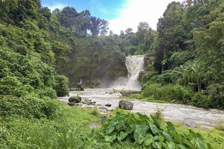 Ubud Full-Day: Tegenungan Waterfall, Tegalalang Rice Terraces & Goa Gajah Private Tour photo 1