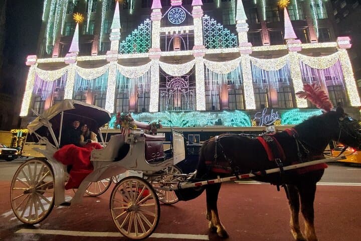 Central Park Christmas Lights Private Horse Carriage Ride — NYC Holiday Tour