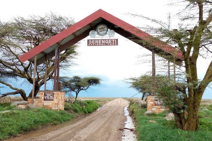 7-Day Kilimanjaro Trek & Northern Tanzania Safari: Kilimanjaro, Tarangire, Serengeti, Ngorongoro & Lake Manyara photo 4