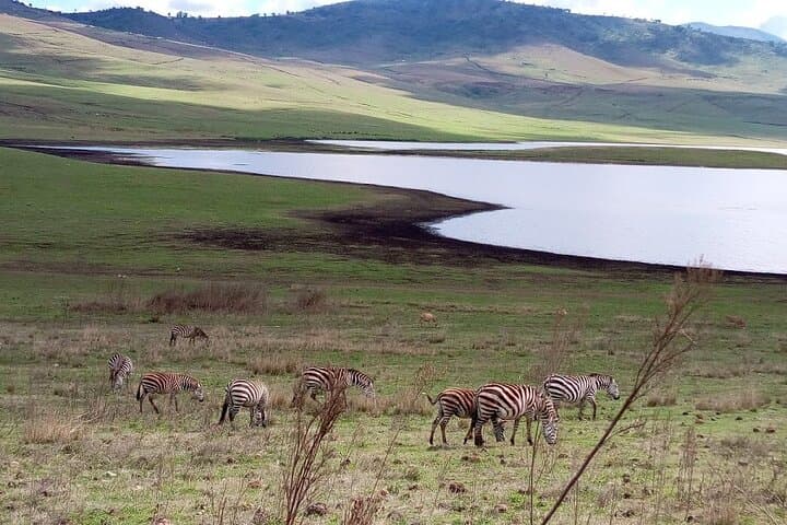 7-Day Kilimanjaro Trek & Northern Tanzania Safari: Kilimanjaro, Tarangire, Serengeti, Ngorongoro & Lake Manyara photo 5