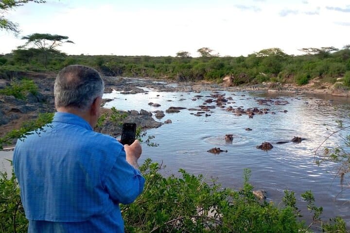7-Day Kilimanjaro Trek & Northern Tanzania Safari: Kilimanjaro, Tarangire, Serengeti, Ngorongoro & Lake Manyara photo 6