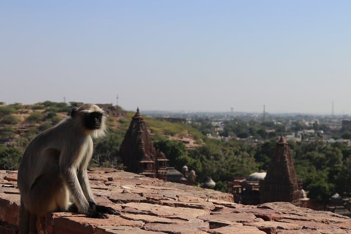 Mandore Garden Walking Tour: Explore Jodhpur’s Ancient Cenotaphs and Rock Terraces photo 5