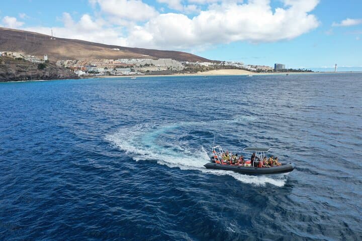 Fuerteventura Dolphin and Whale Watching with Snorkeling — 2-Hour Speedboat Tour photo 4