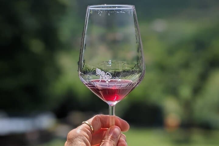Lucca Countryside Bike Ride & Wine Tasting at a Family Winery photo 2