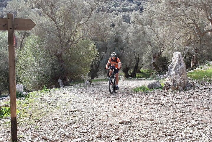 Rent a Conor WRC 29 Hardtail in Palma — Full-Day Mallorca MTB Rental photo 2