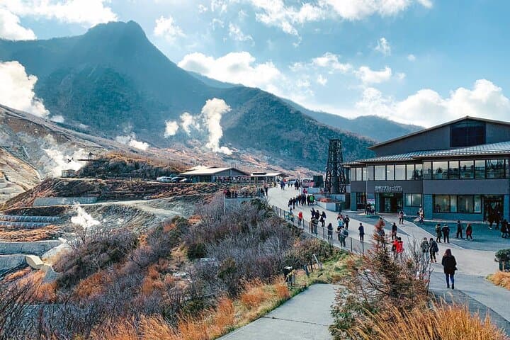 Hakone and Mt. Fuji Private Day Trip — Lake Ashinoko, Owakudani & Open‑Air Museum photo 5