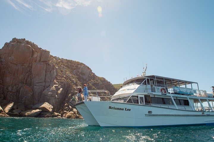 Wilsons Prom Whale Cruise: Catamaran Whale Watching at Wilsons Promontory photo 3