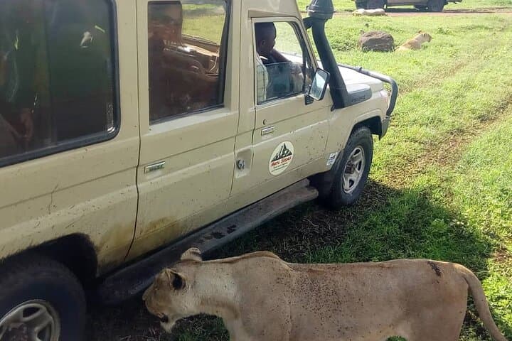 8-Day Tanzania Wildebeest Migration Safari: Tarangire, Serengeti, Ngorongoro & Lake Manyara photo 5