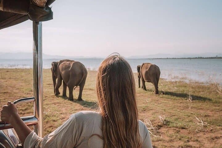 4-Day Sri Lanka Budget Tour: Kandy, Nuwara Eliya, Sigiriya & Dambulla photo 6