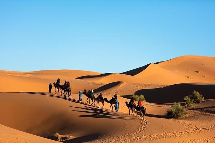 Merzouga Camel Trek & Overnight in Erg Chebbi: Sunset, Stars and Berber Camp Experience photo 2