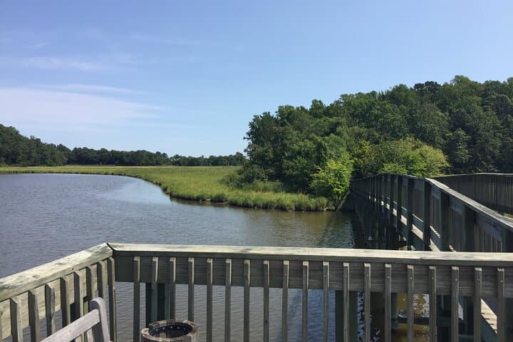 Chesapeake Beach Railway Trail Guided Walk: Marsh Views & Railway Museum photo 2