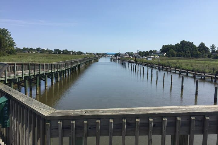 Chesapeake Beach Railway Trail Guided Walk: Marsh Views & Railway Museum photo 3