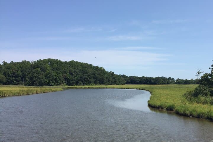 Chesapeake Beach Railway Trail Guided Walk: Marsh Views & Railway Museum photo 4