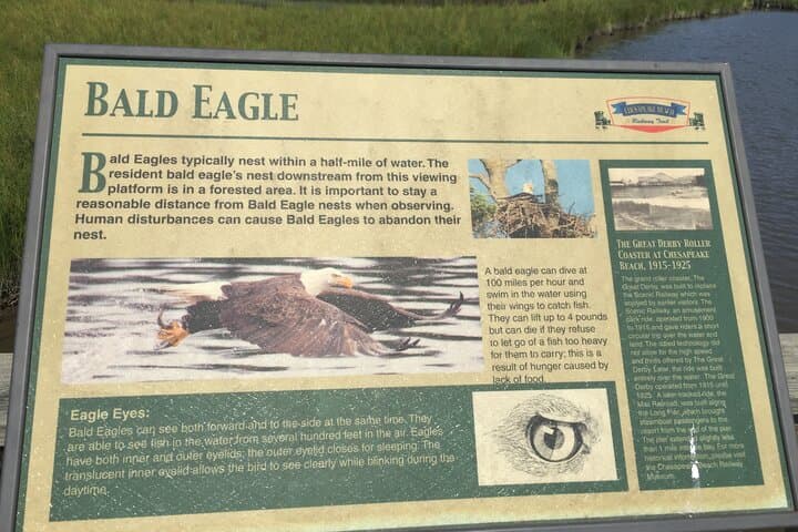 Chesapeake Beach Railway Trail Guided Walk: Marsh Views & Railway Museum photo 5