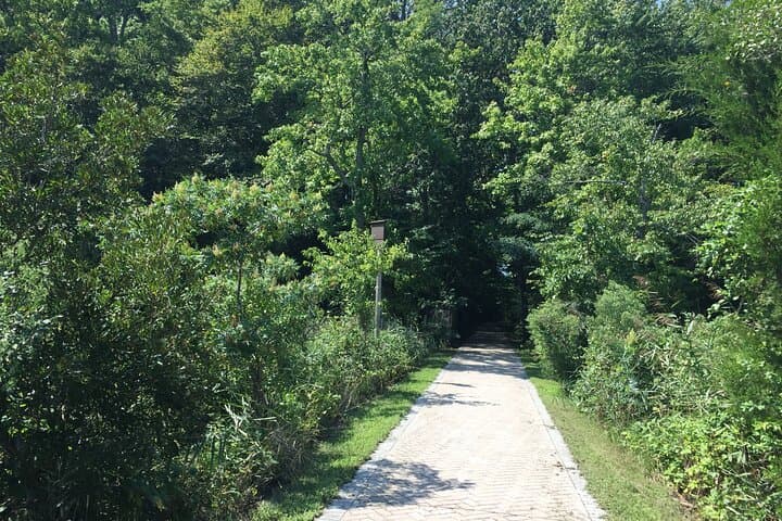 Chesapeake Beach Railway Trail Guided Walk: Marsh Views & Railway Museum photo 6