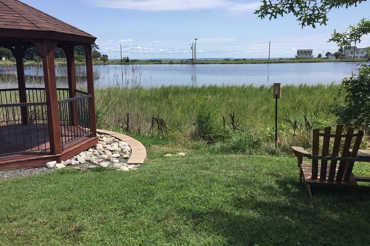 North Beach Scenic Guided Walking Tour: Bayside History & Wetland Overlook