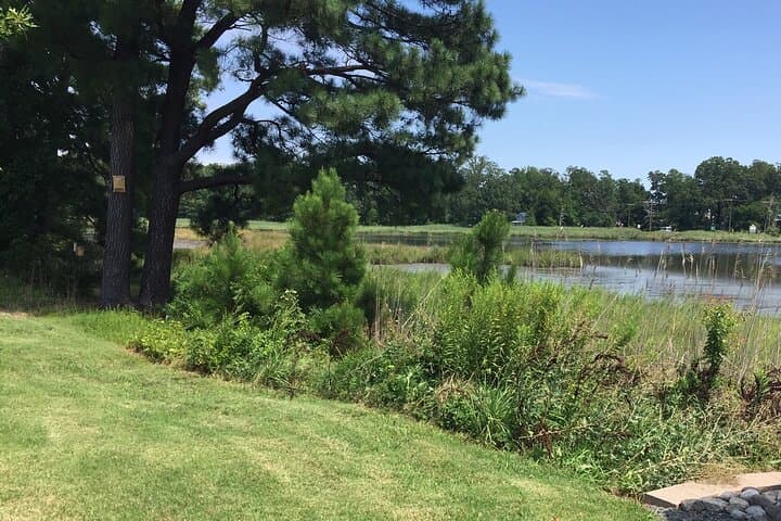 North Beach Scenic Guided Walking Tour: Bayside History & Wetland Overlook photo 5
