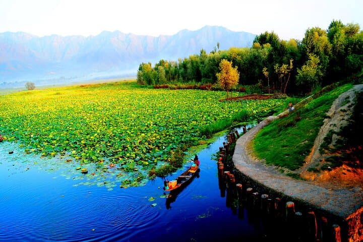5-Day Private Kashmir Tour from Srinagar — Gulmarg, Pahalgam & Dal Lake photo 5
