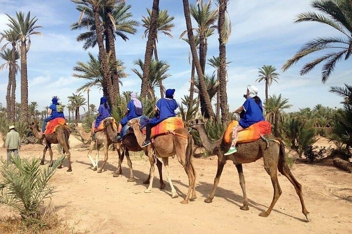 Camel Ride in Marrakech Palmeraie: 90-Minute Camel Tour with Berber Visit photo 6
