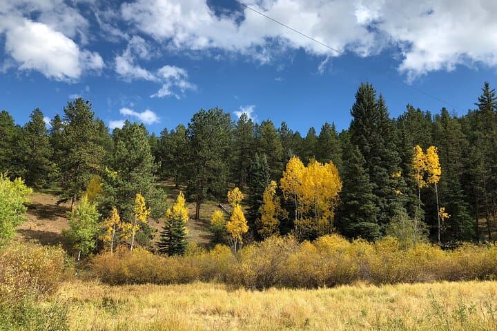 Half-Day Guided Hike on Colorado's Front Range Near Denver photo 5