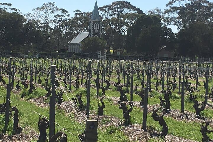 Private Luxury Barossa Valley Wine Tour — Full-Day Tasting & Behind-the-Scenes Access photo 3