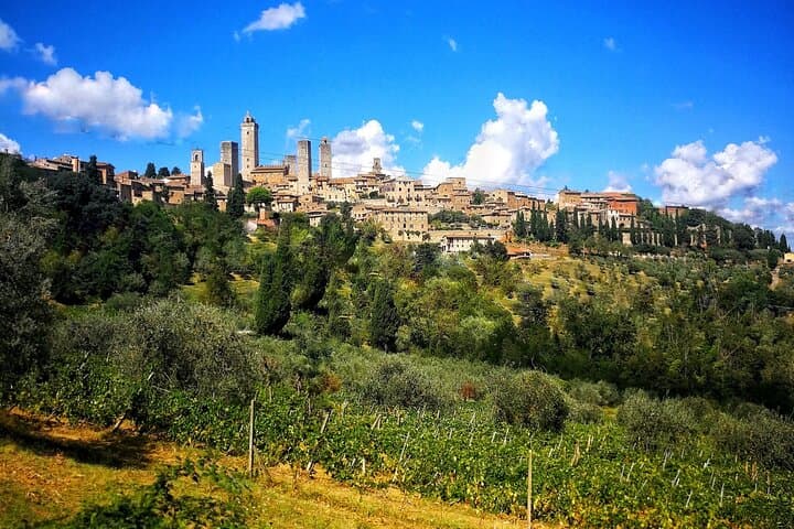 E-biking from Chianti to San Gimignano: 40km Tuscan Hills & Vernaccia Tasting photo 1
