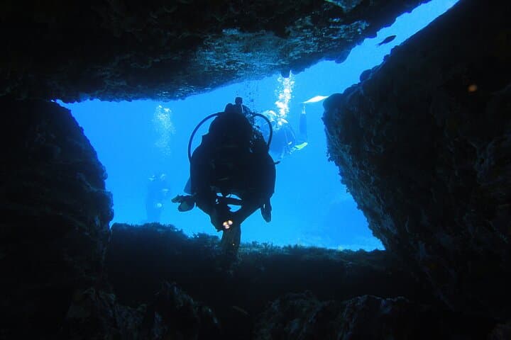 Qualified Diver One‑Tank Aegean Dive in Mykonos photo 6