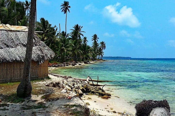 Mirissa Whale Watching Day Tour: Jungle Beach, Galle Fort & Turtle Hatchery photo 5