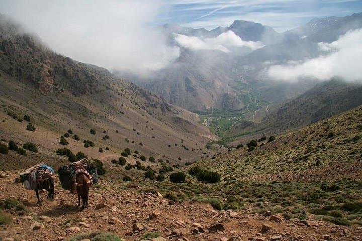Berber Village Trek: Tiz M’zzik Pass & High Atlas Waterfall Hike from Marrakech photo 2
