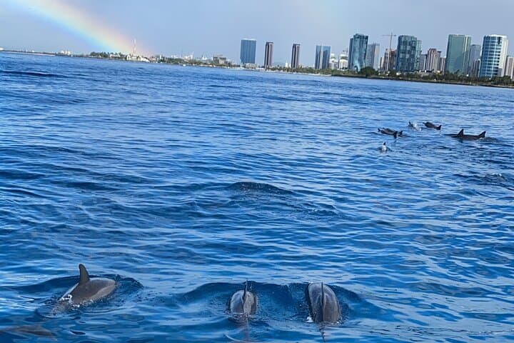 Private Catamaran Cruise and Snorkeling in Waikiki — Diamond Head Day Sail photo 4