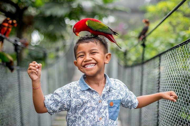 inside-bali-bird-park-a-hands-on-guide-to-the-island’s-avian-collection photo 3