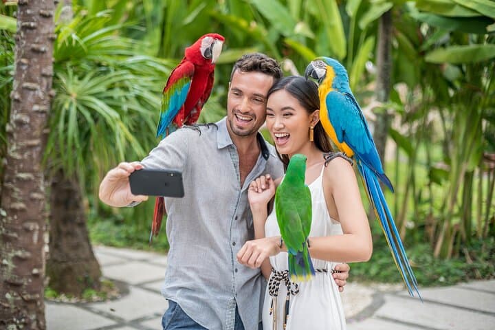 inside-bali-bird-park-a-hands-on-guide-to-the-island’s-avian-collection photo 4