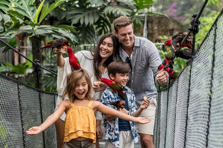 inside-bali-bird-park-a-hands-on-guide-to-the-island’s-avian-collection