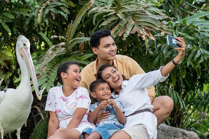 inside-bali-bird-park-a-hands-on-guide-to-the-island’s-avian-collection photo 5