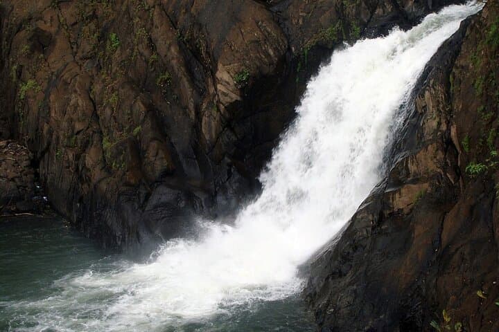 Dudhsagar Waterfall Jungle Hike & Zipline — Private Goa Adventure photo 4