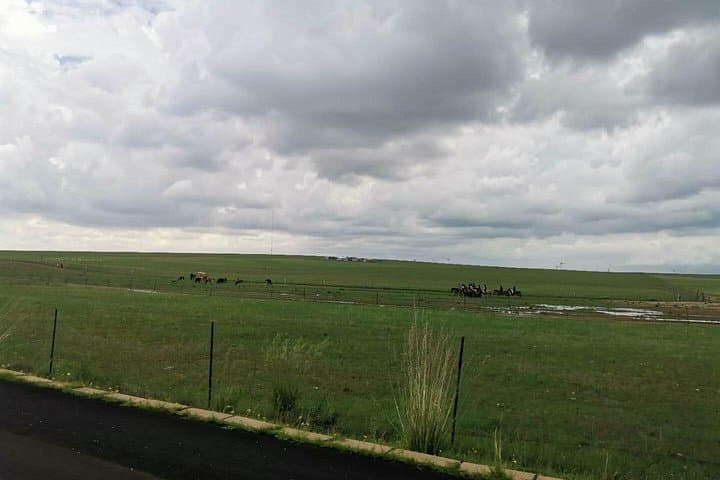 Huitengxile Grassland Day Trip from Hohhot — Private Full-Day Tour photo 6