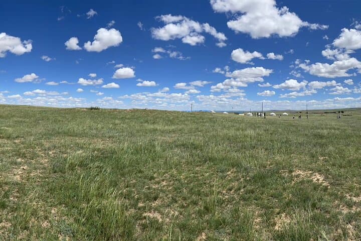 Huitengxile Grassland Day Trip from Hohhot — Private Full-Day Tour photo 5