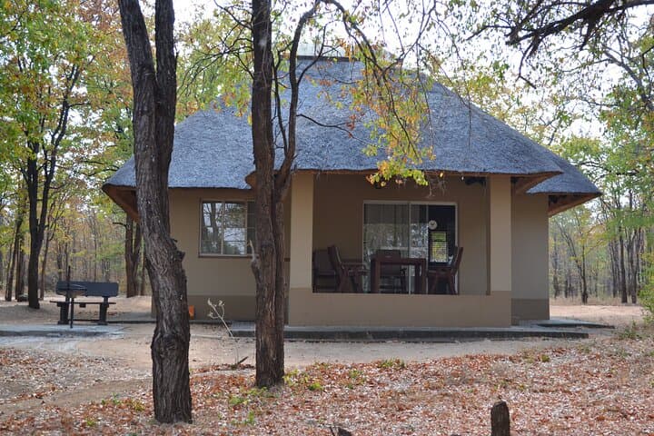 4-Day Hluhluwe-Imfolozi & St Lucia Safari from Durban: Big Five, Hippos & Cape Vidal photo 5