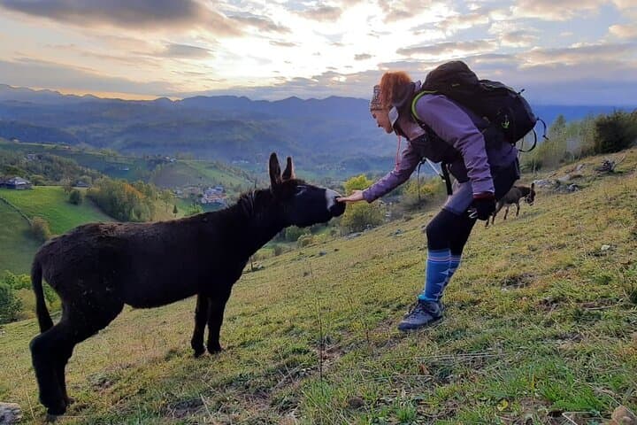 Eco Trail Romania: Hike Moeciu de Sus & Transylvania Amphitheater from Brașov photo 5