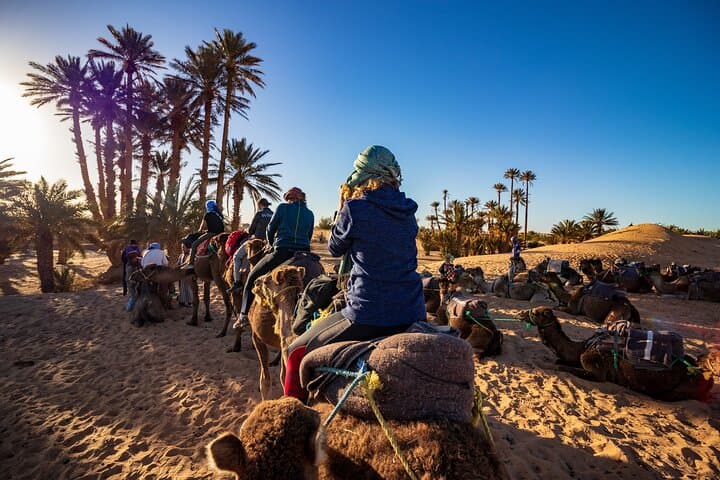 Palm Grove Camel Ride from Marrakech — 1.5-Hour Small-Group Experience photo 4