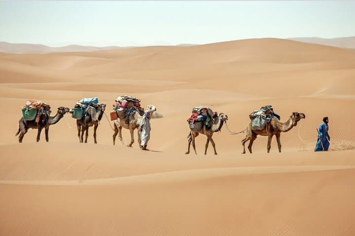 3-Day Private Sahara Desert Trek from M'Hamid: Camel Caravan Camping in Erg Douib