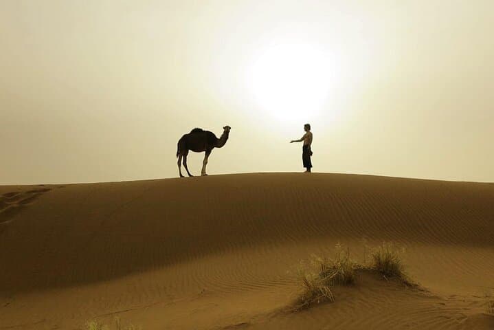 3-Day Private Sahara Desert Trek from M'Hamid: Camel Caravan Camping in Erg Douib photo 3
