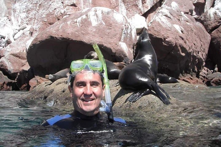 Sea of Cortez Snorkel Adventure from Los Cabos — 4‑Hour VIP Beach Camp photo 1