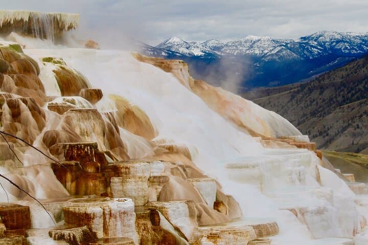Two-Day Yellowstone Upper and Lower Loop: Geysers, Wildlife & Hot Springs